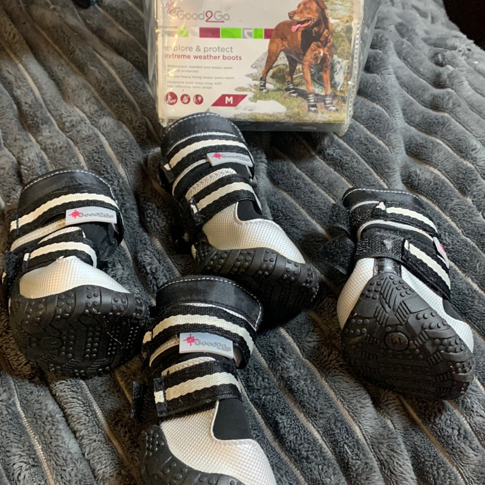 Like new Good2Go, M, Dog Boots